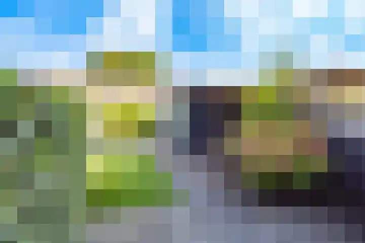 Klooster 2 Coevorden thumbnail 48