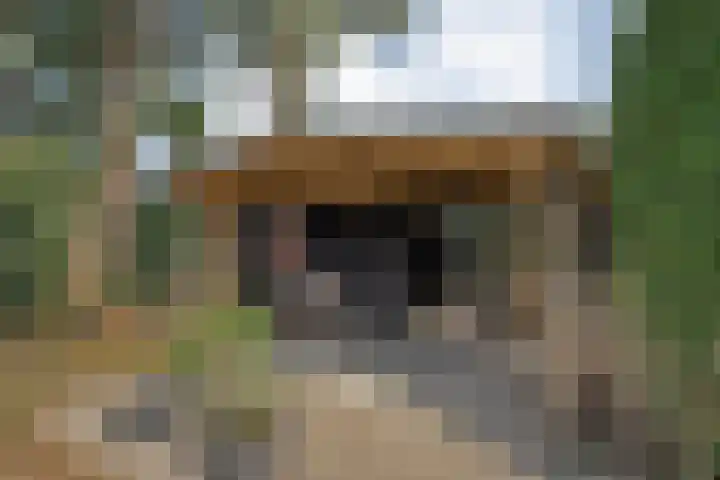 Klooster 2 Coevorden thumbnail 52