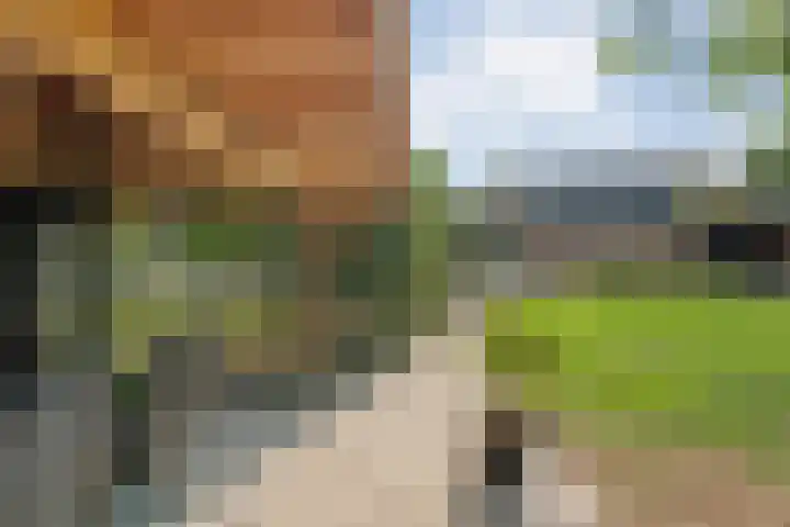 Klooster 2 Coevorden thumbnail 53