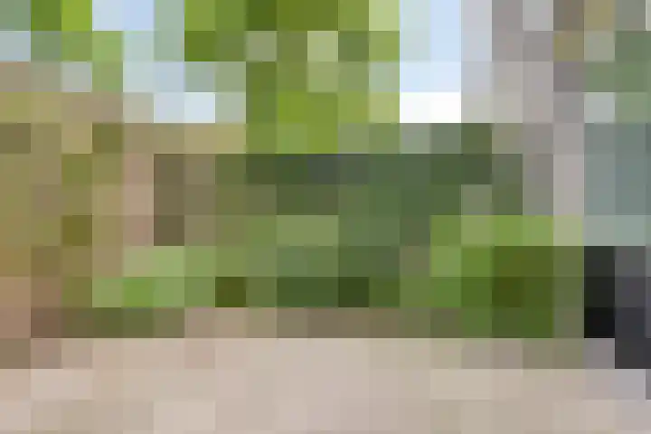 Klooster 2 Coevorden thumbnail 58