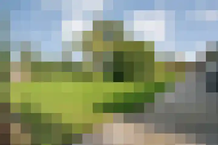 Klooster 2 Coevorden thumbnail 65