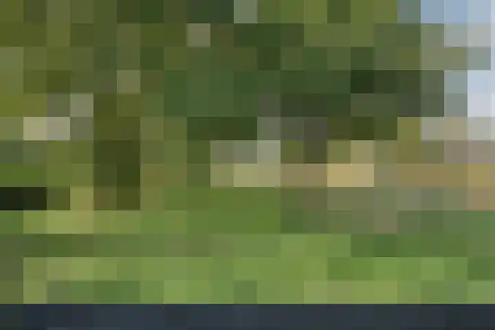 Klooster 2 Coevorden thumbnail 66