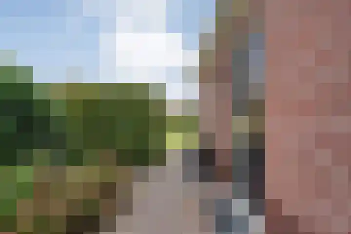 Klooster 2 Coevorden thumbnail 7