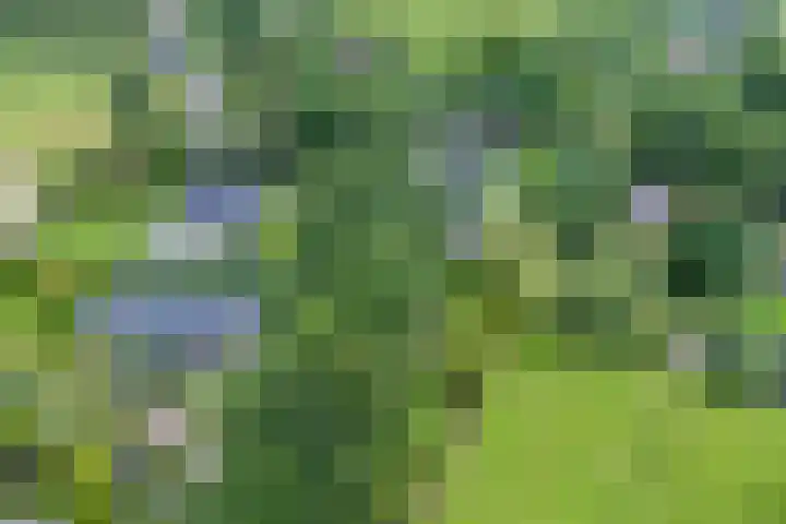 Klooster 22 Coevorden thumbnail 4
