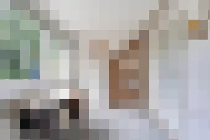 Klooster 22 Coevorden thumbnail 42