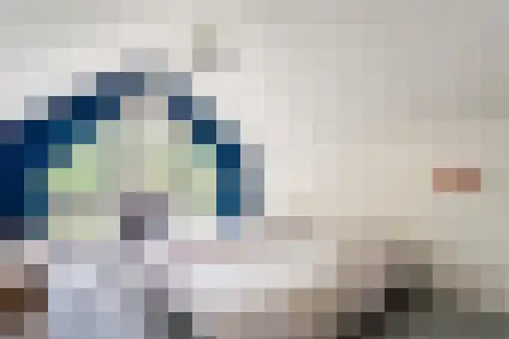 Klooster 22 Coevorden thumbnail 43