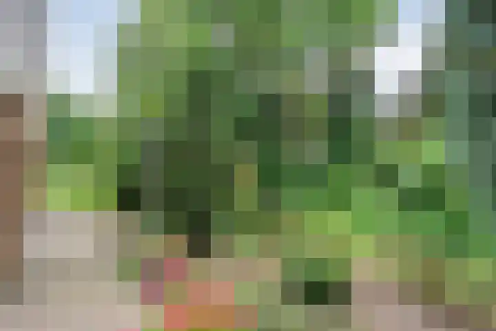 Klooster 22 Coevorden thumbnail 47