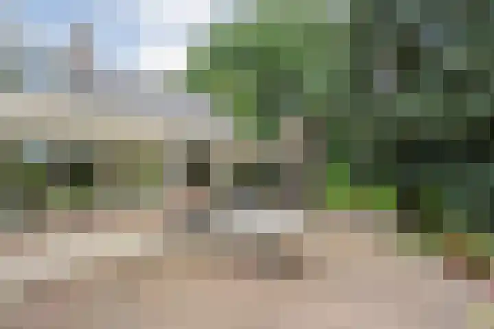 Klooster 22 Coevorden thumbnail 48