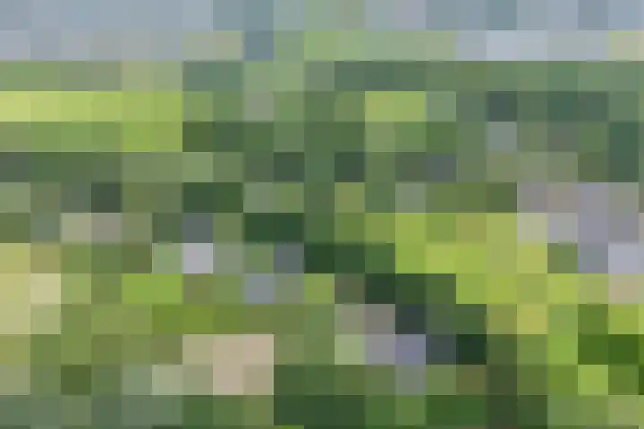 Klooster 22 Coevorden thumbnail 5