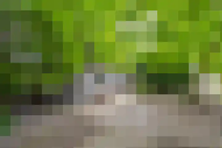 Klooster 22 Coevorden thumbnail 58