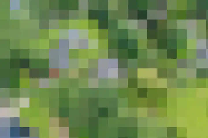 Klooster 22 Coevorden thumbnail 6