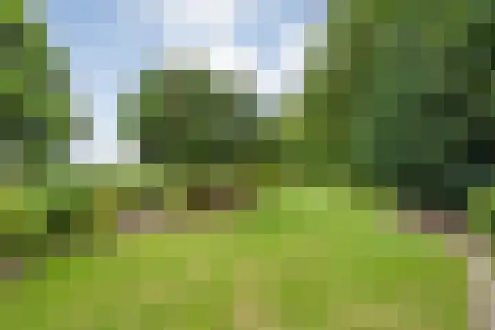 Klooster 22 Coevorden thumbnail 61