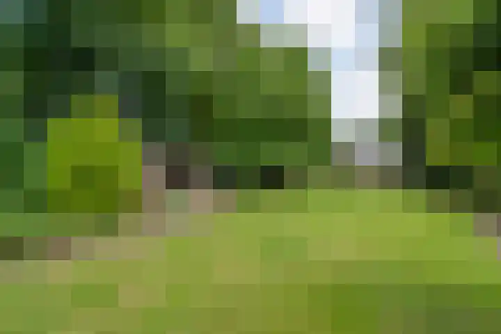 Klooster 22 Coevorden thumbnail 62