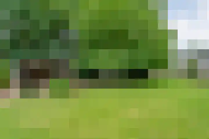 Klooster 22 Coevorden thumbnail 63