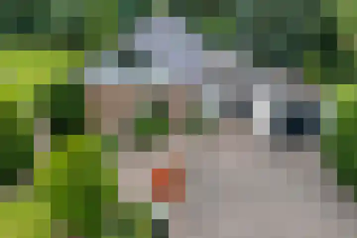 Klooster 22 Coevorden thumbnail 7