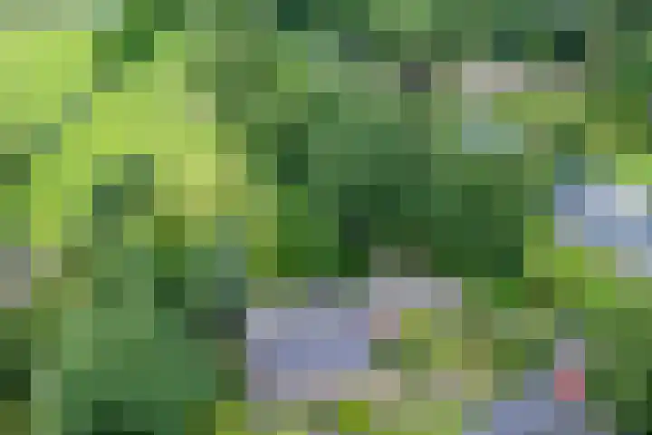 Klooster 22 Coevorden thumbnail 73