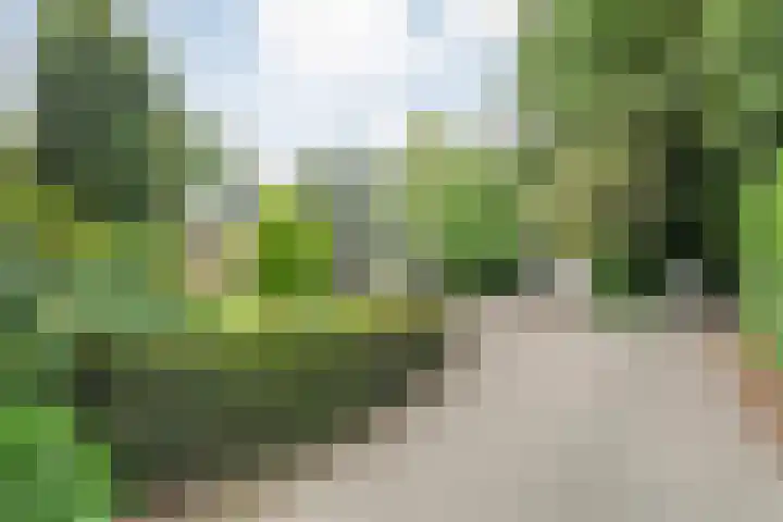 Klooster 22 Coevorden thumbnail 9