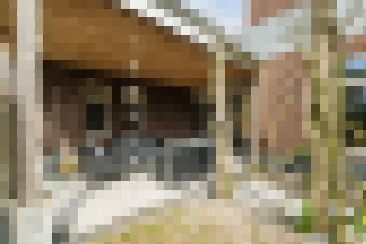Klooster 24 Coevorden thumbnail 49