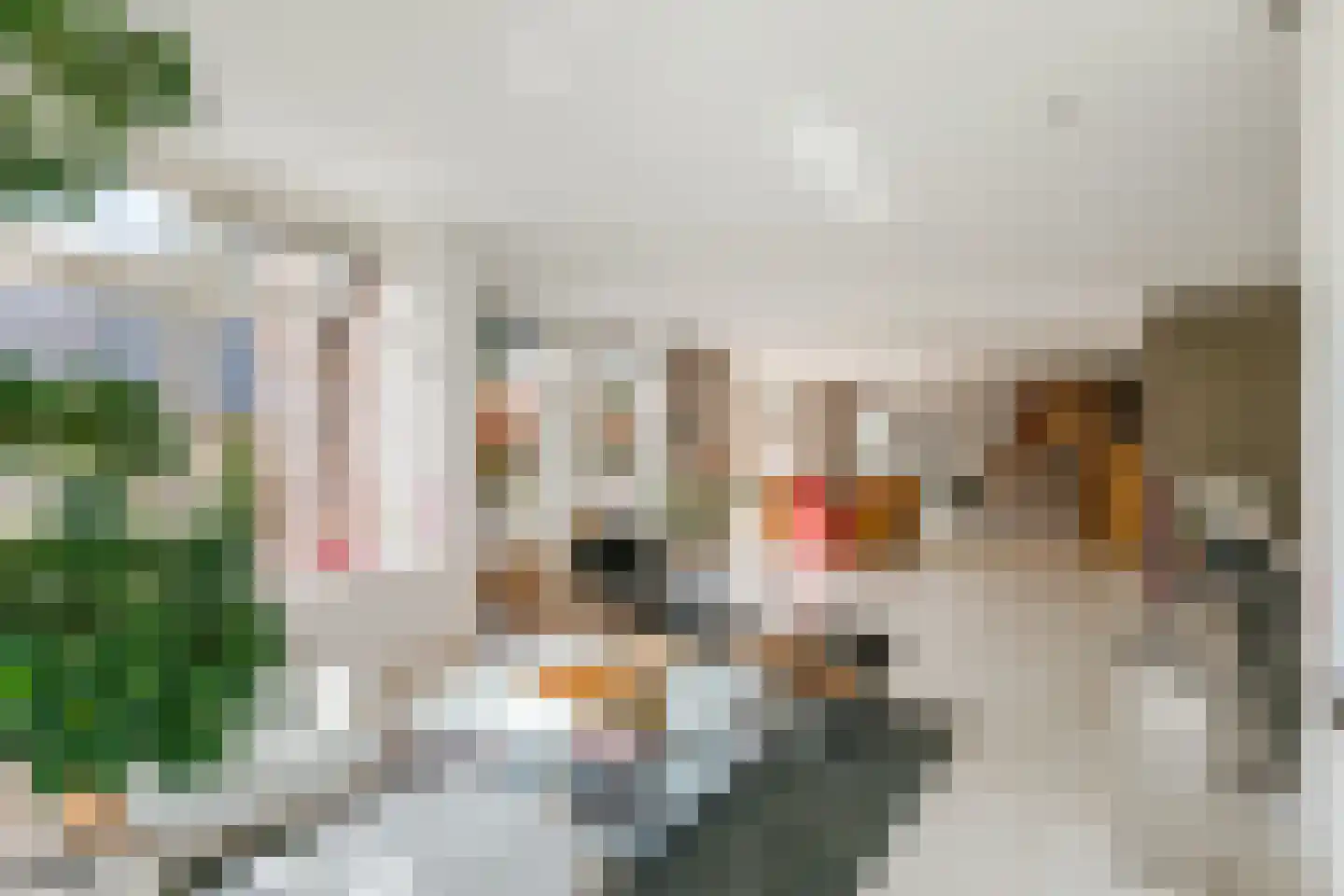 Klooster 24 Coevorden thumbnail 9