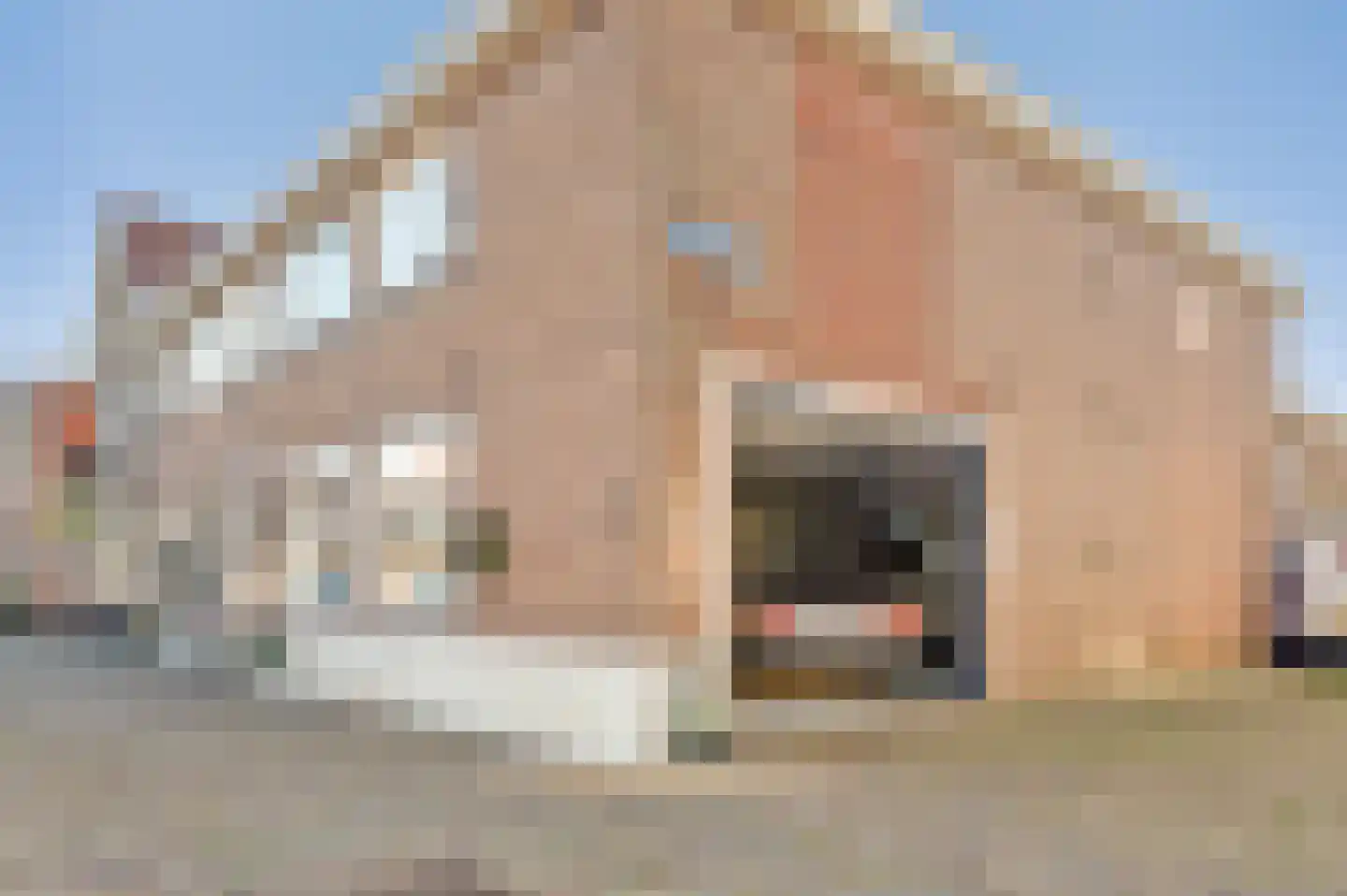 Klooster 3 Enkhuizen thumbnail 12