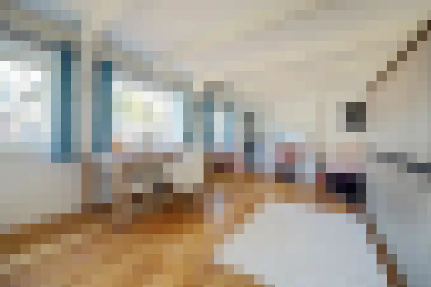 Klooster 3 Enkhuizen thumbnail 29