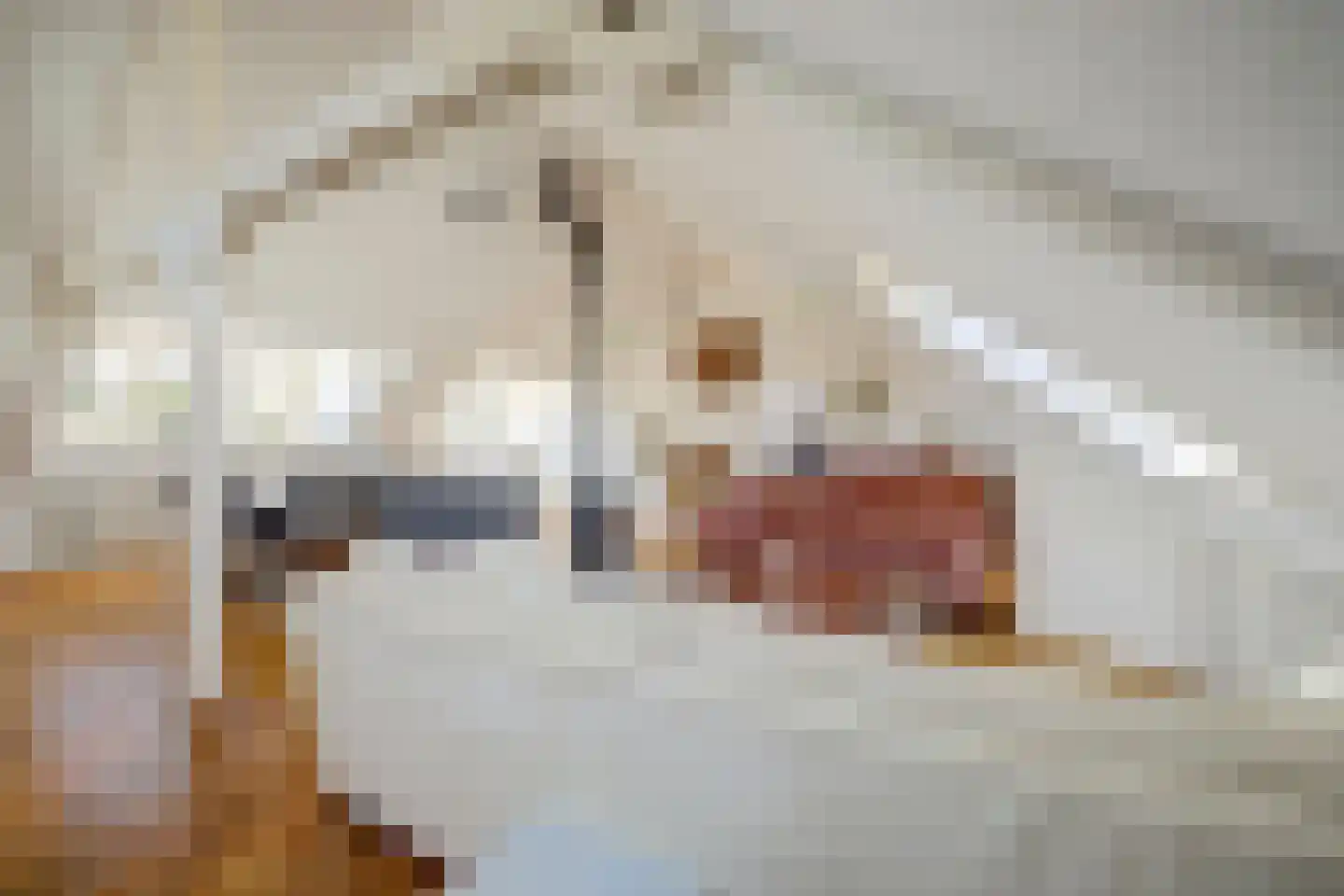 Klooster 3 Enkhuizen thumbnail 39