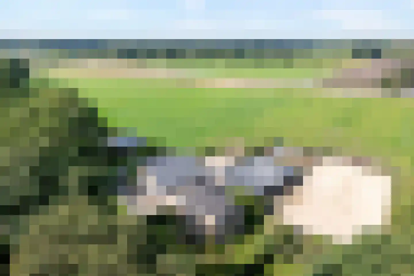 Klooster 38 Coevorden thumbnail 10