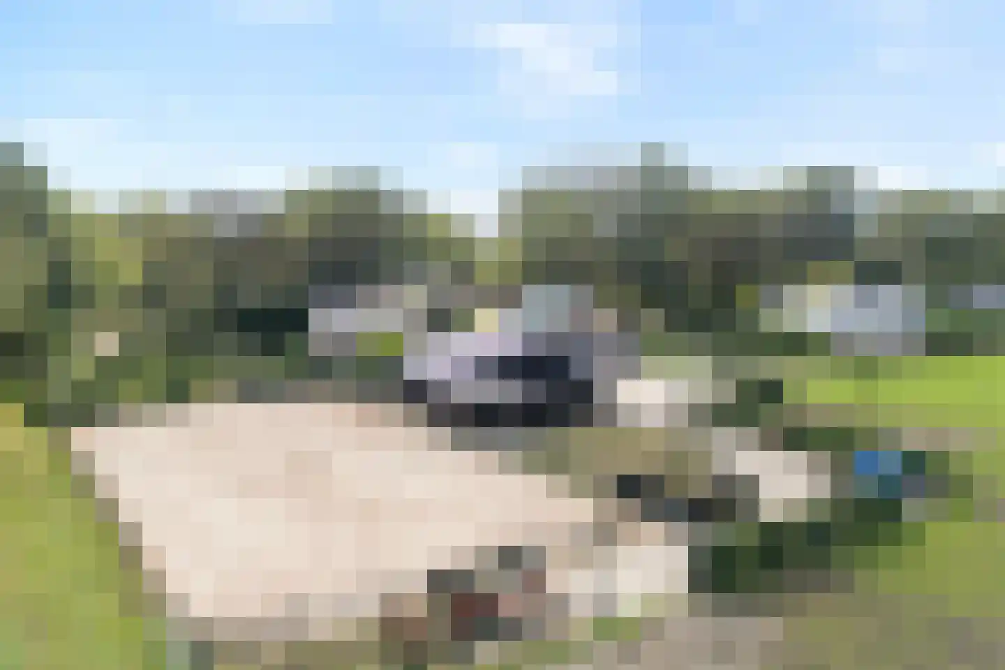 Klooster 38 Coevorden thumbnail 12