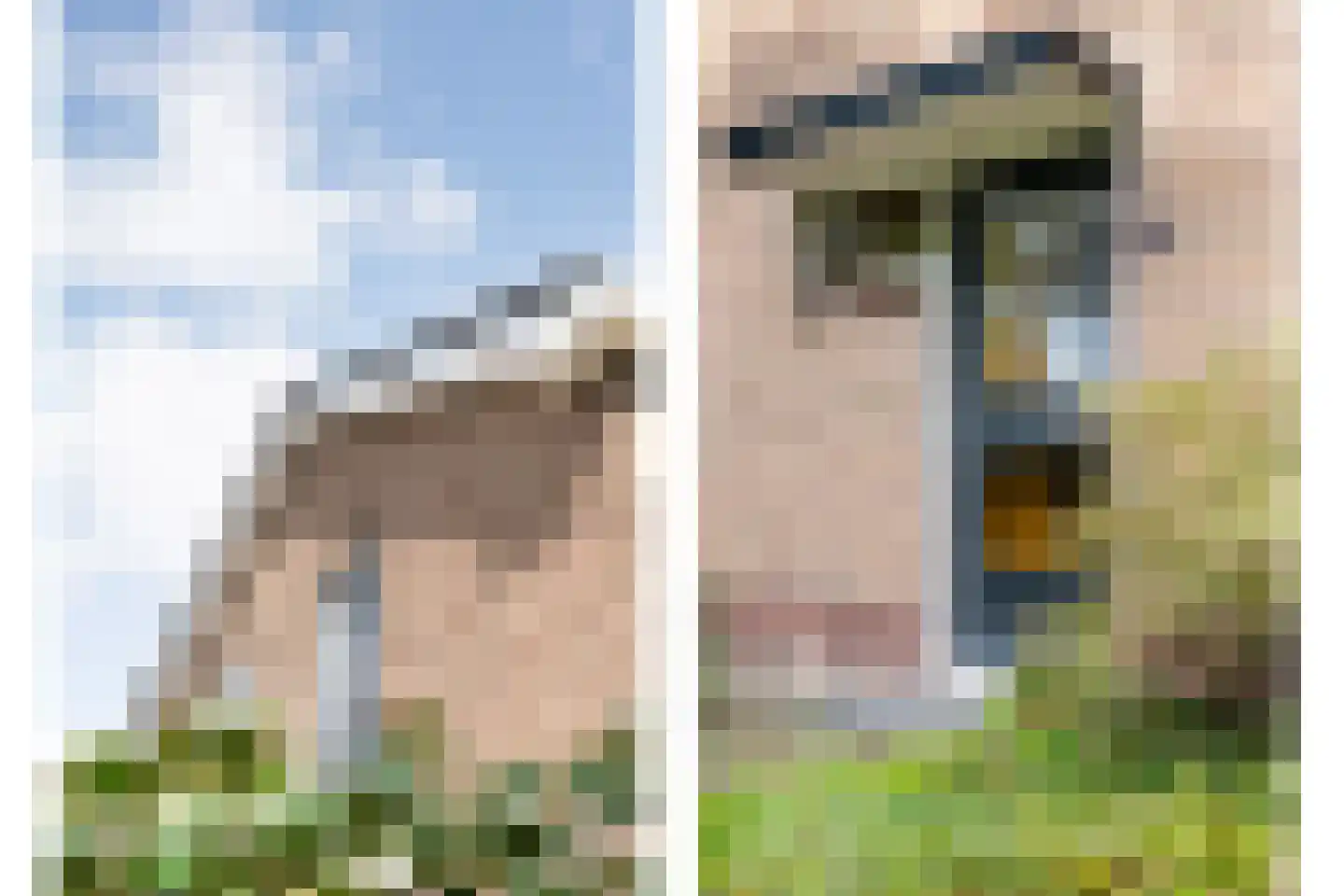 Klooster 38 Coevorden thumbnail 21