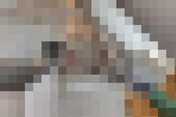 Klooster 7 A Harderwijk thumbnail 6