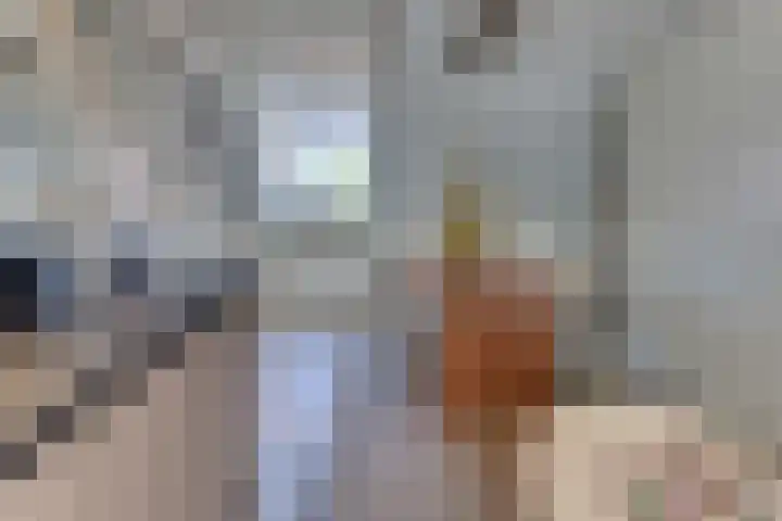 Klooster 7 A Harderwijk thumbnail 8