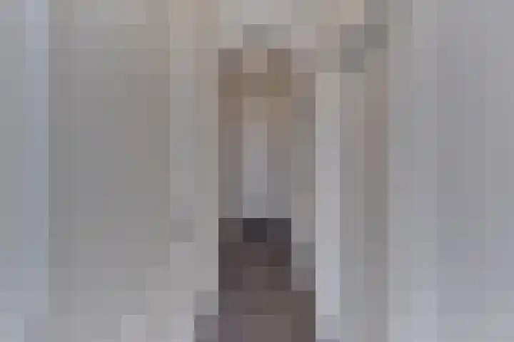 Klooster 7 Harderwijk thumbnail 6