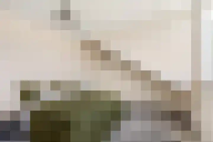 Klooster 7 Leiden thumbnail 11