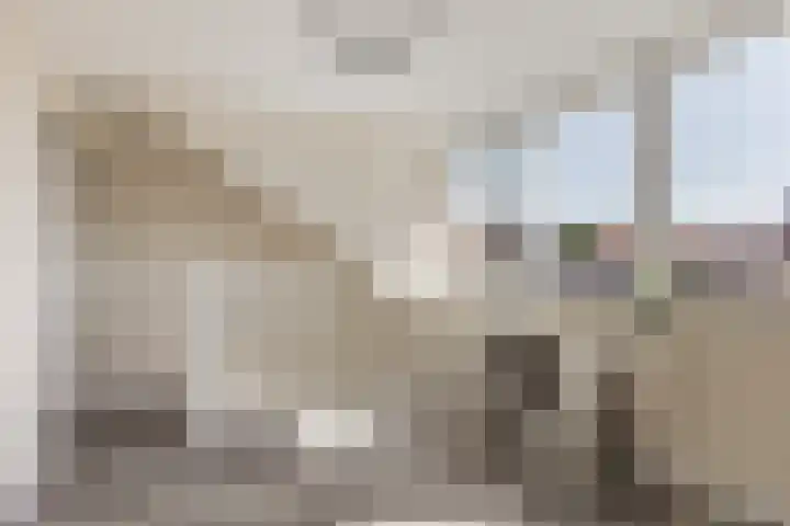 Klooster 7 Leiden thumbnail 13