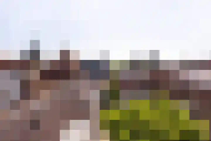 Klooster 7 Leiden thumbnail 17