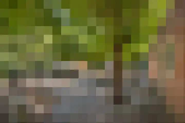 Klooster 7 Leiden thumbnail 22