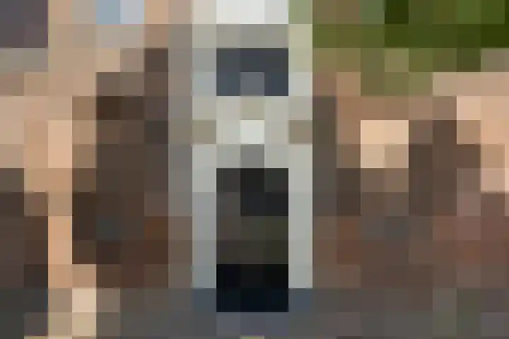 Klooster 7 Leiden thumbnail 23
