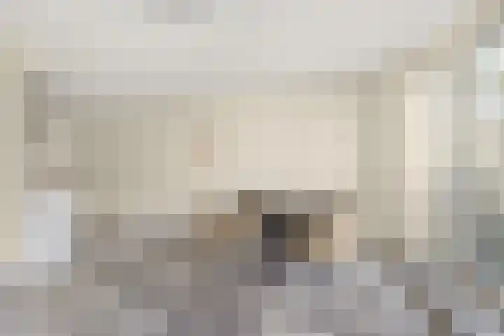 Klooster 7 Leiden thumbnail 6