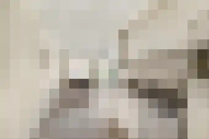 Klooster 7 Leiden thumbnail 8