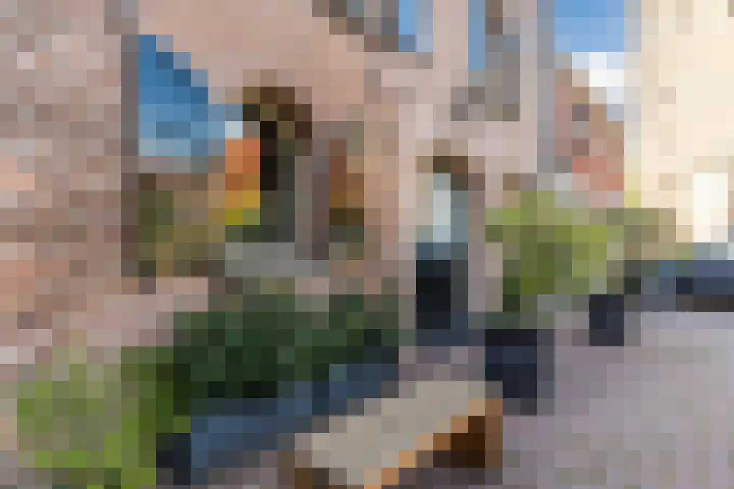 Klooster Leuterstraat 28 Wijk bij Duurstede thumbnail 112