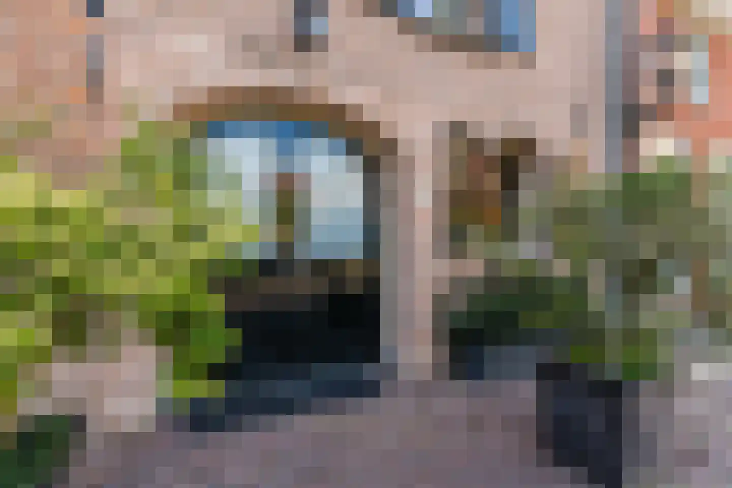 Klooster Leuterstraat 28 Wijk bij Duurstede thumbnail 114