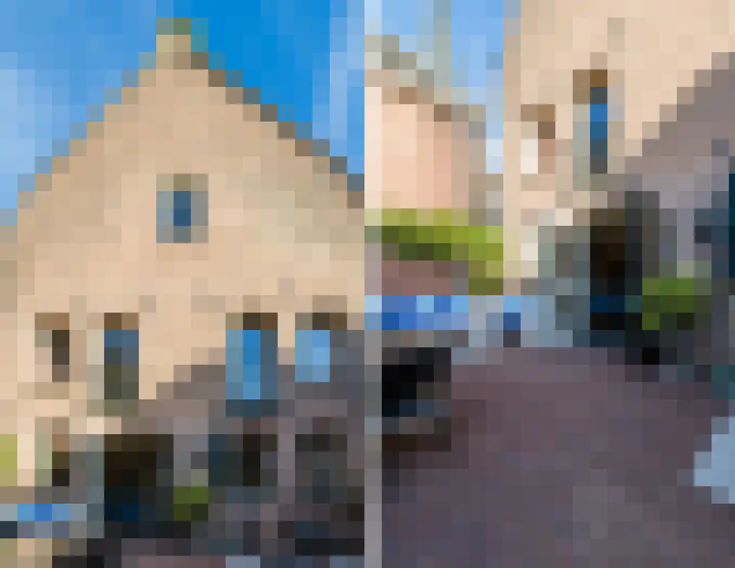 Klooster Leuterstraat 28 Wijk bij Duurstede thumbnail 123