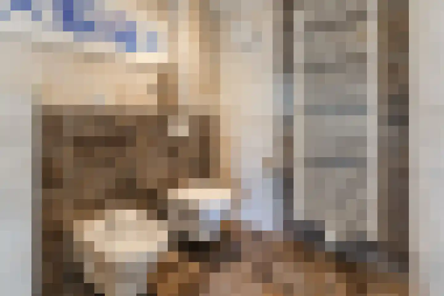 Klooster Leuterstraat 28 Wijk bij Duurstede thumbnail 66