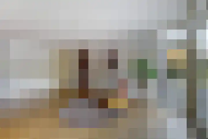 Kloosterakker 82 Wijchen thumbnail 12