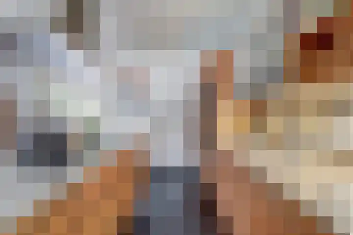 Kloosterakker 82 Wijchen thumbnail 17