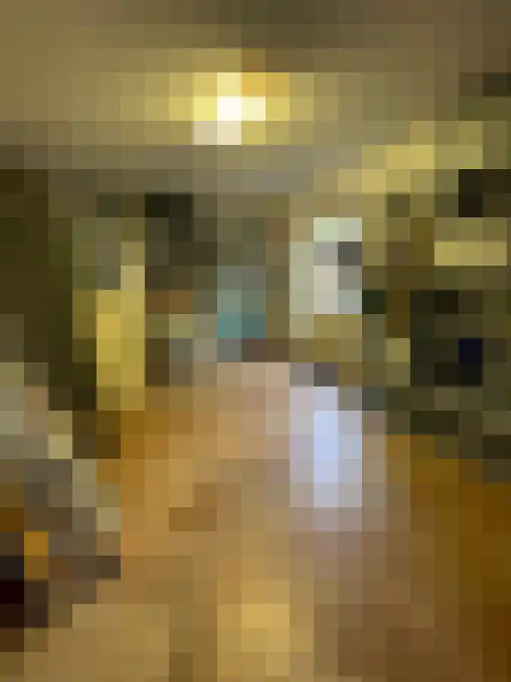 Kloosterakker 82 Wijchen thumbnail 23