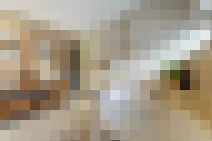 Kloosterakker 82 Wijchen thumbnail 39