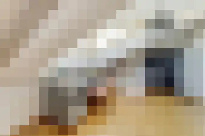 Kloosterakker 82 Wijchen thumbnail 43