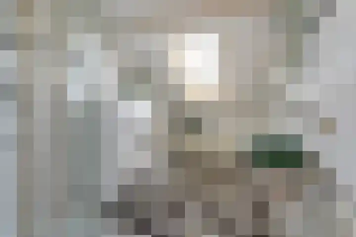 Kloosterakker 82 Wijchen thumbnail 48