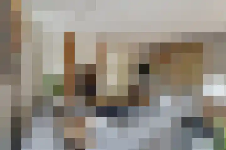 Kloosterakker 82 Wijchen thumbnail 5